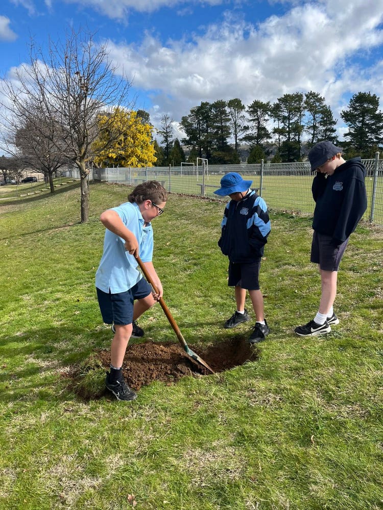 Image of 3 people digging hole to plant tree