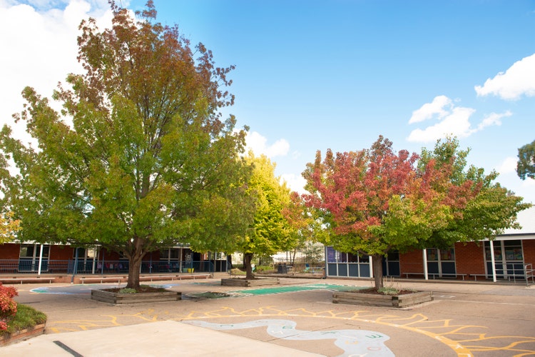 Coutyard with autumn trees